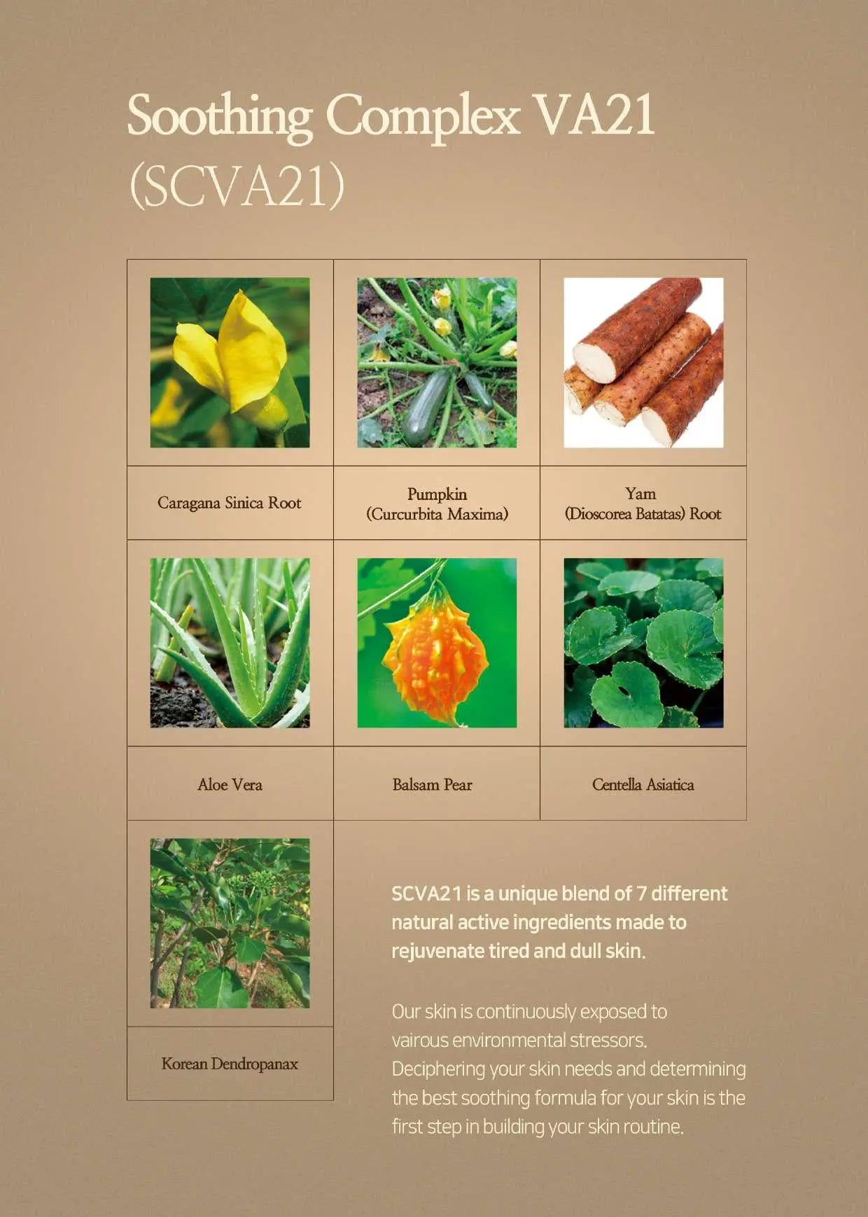 Relaco VA21 PREMIUM PURE VITAMIN C SERUM 14ml Relaco