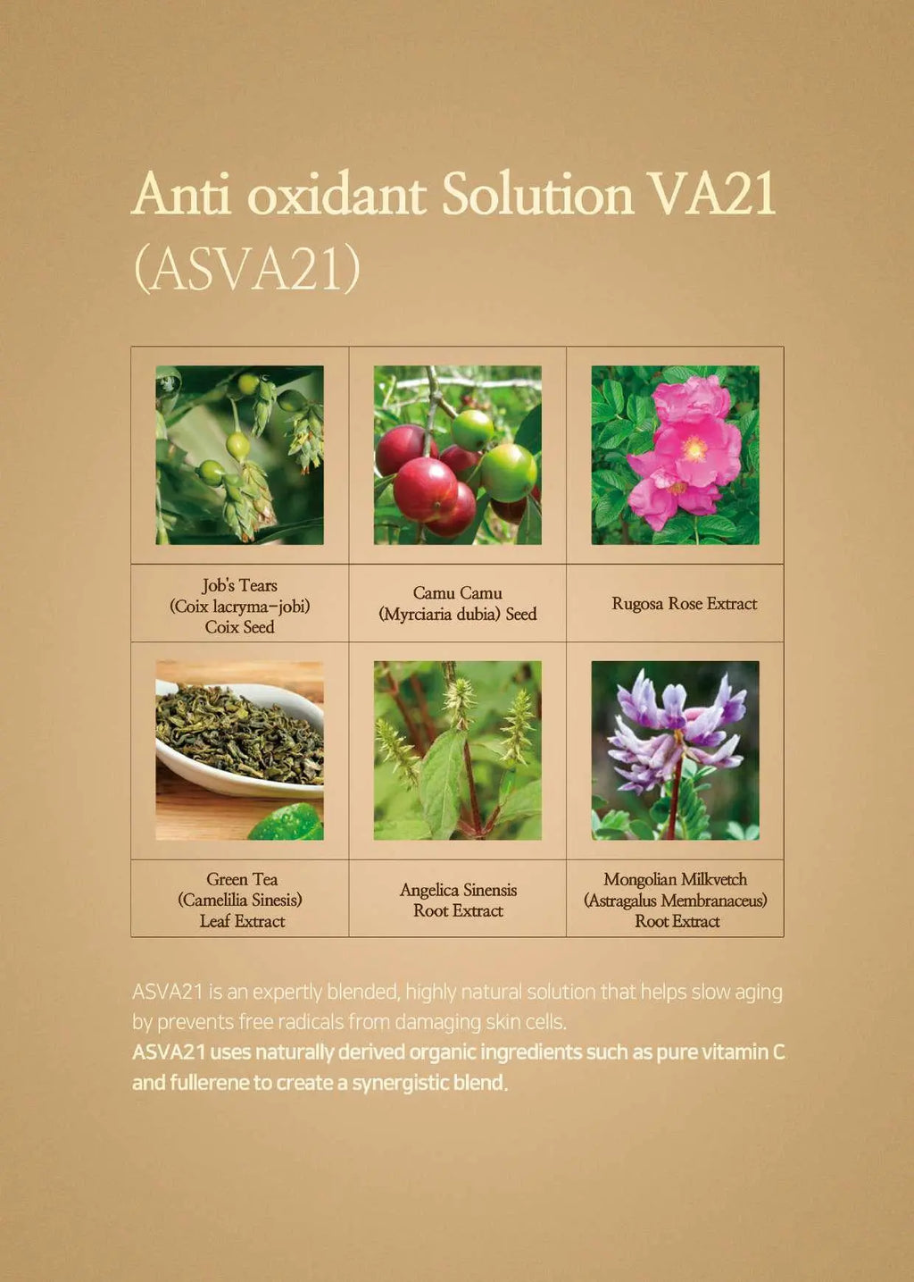 Relaco VA21 PREMIUM PURE VITAMIN C SERUM SET (14ml X 3ea) Relaco